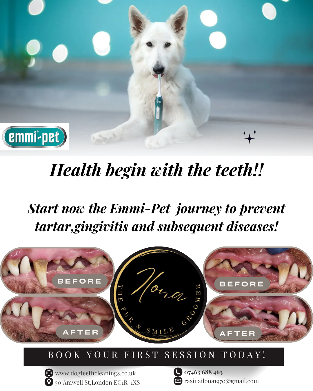 Emmi-Pet ultrasonic dog teeth cleaning results