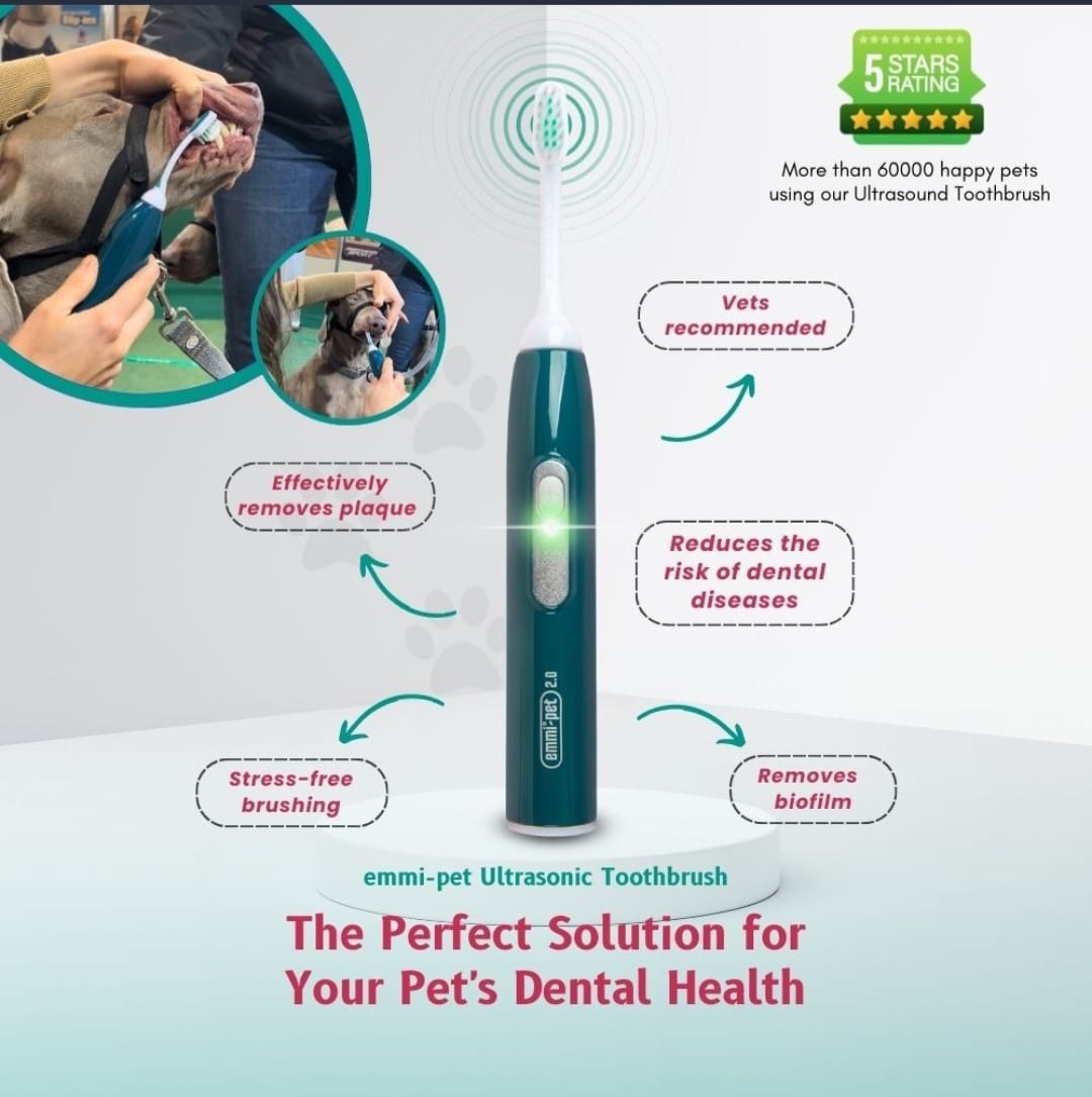 Emmi-Pet Ultrasonic Dog Teeth Cleaning: What It Is, How It Works, and Why It Matters