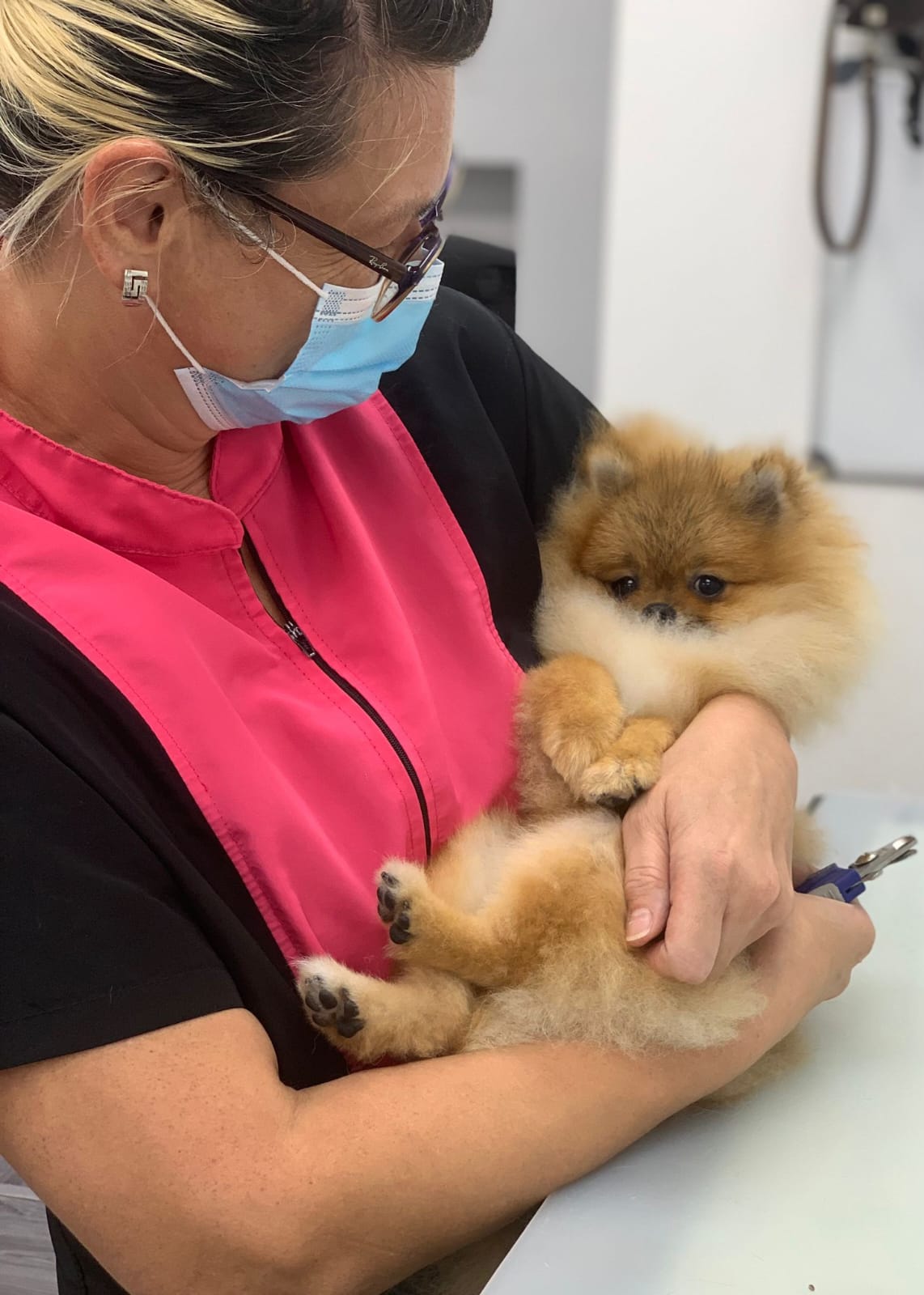 Ilona in salon uniform gently holding a Pomeranian during a grooming session