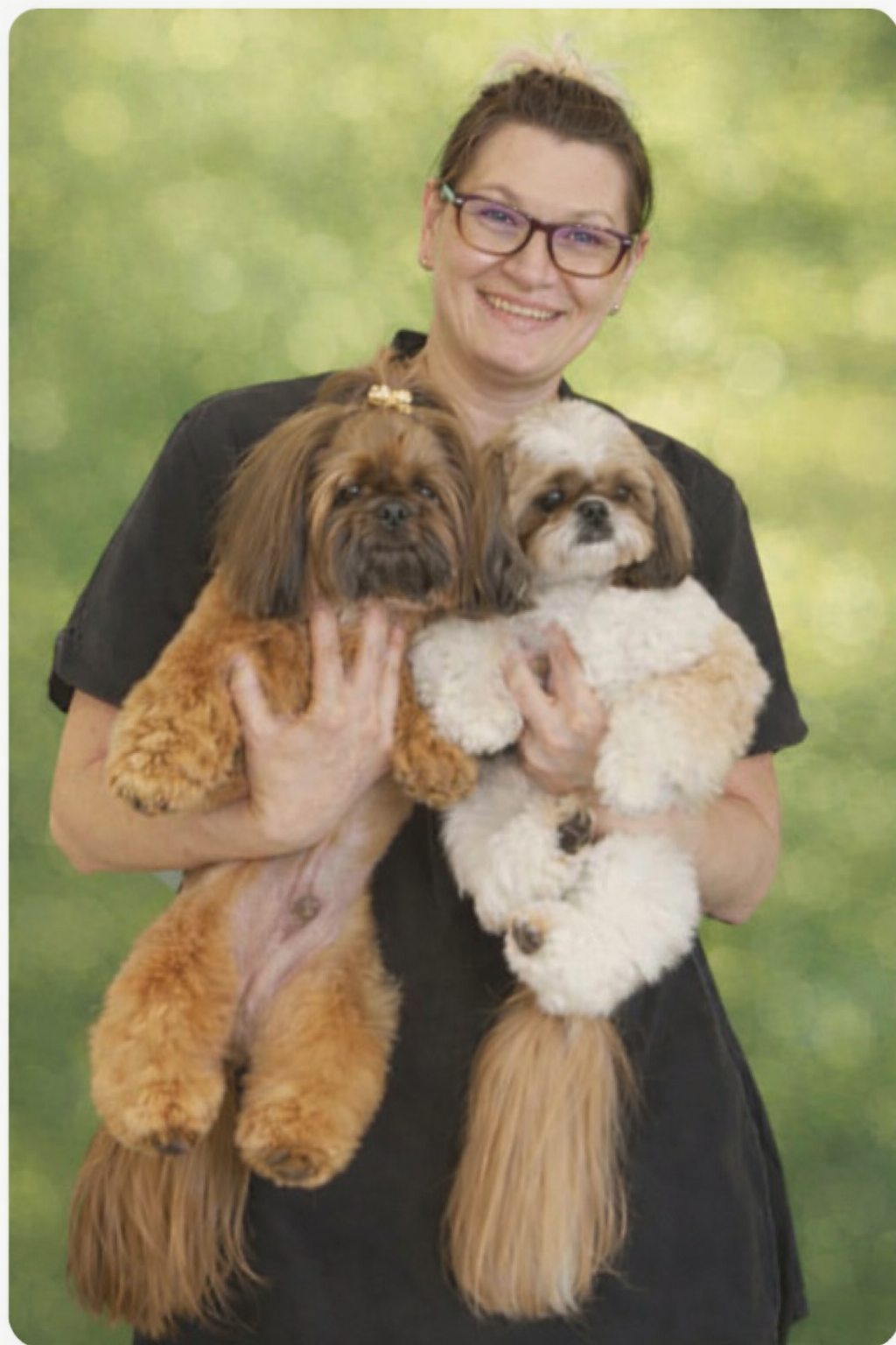 Ilona Rasina, dog groomer and dog teeth cleaning provider in Harpenden
